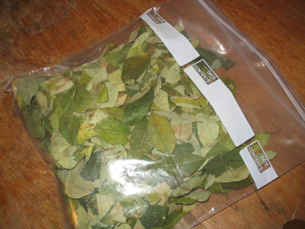 Coca leaves for sale online